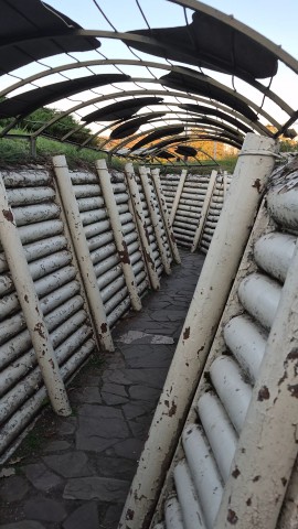 DmYu77 в LOOKY — публикация