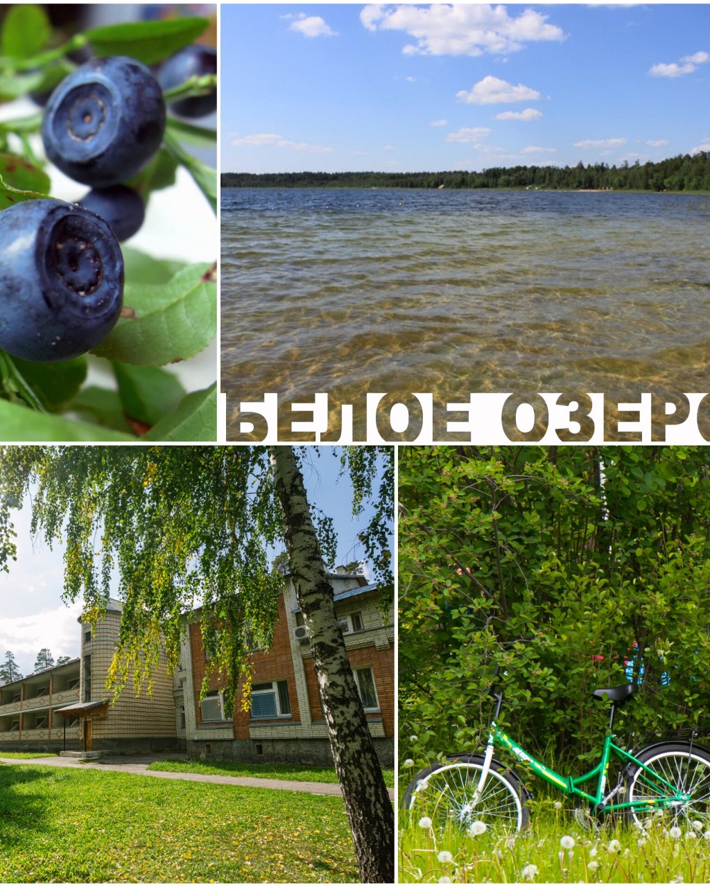 ulkurort в LOOKY. #ундоры,#санаторийприбрежный,#домотдыха,#минеральнаявода,#белыйяр,#белоеозеро,#отдыхвРоссии,#санаторииРоссии. Сезон ОТКРЫТ❗
Белый ...
