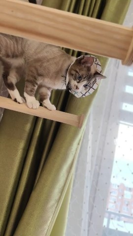 Looky_178352140114547 в LOOKY. . 🤣🤣🤣