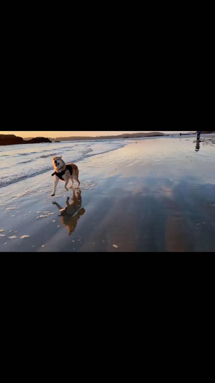 fuuny в LOOKY. . Красиво