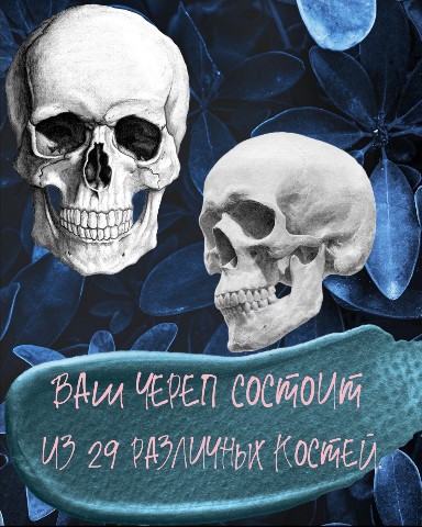 Sюrr_ в LOOKY. . [#факт](факт) 