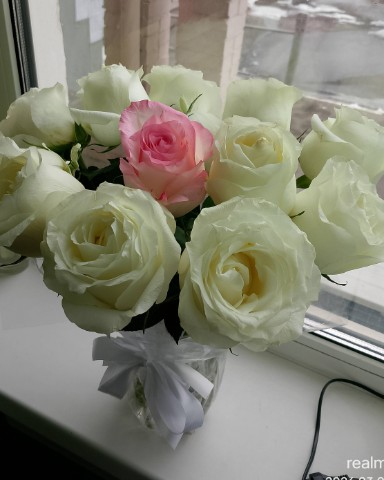 Looky_Lenta в LOOKY. . 