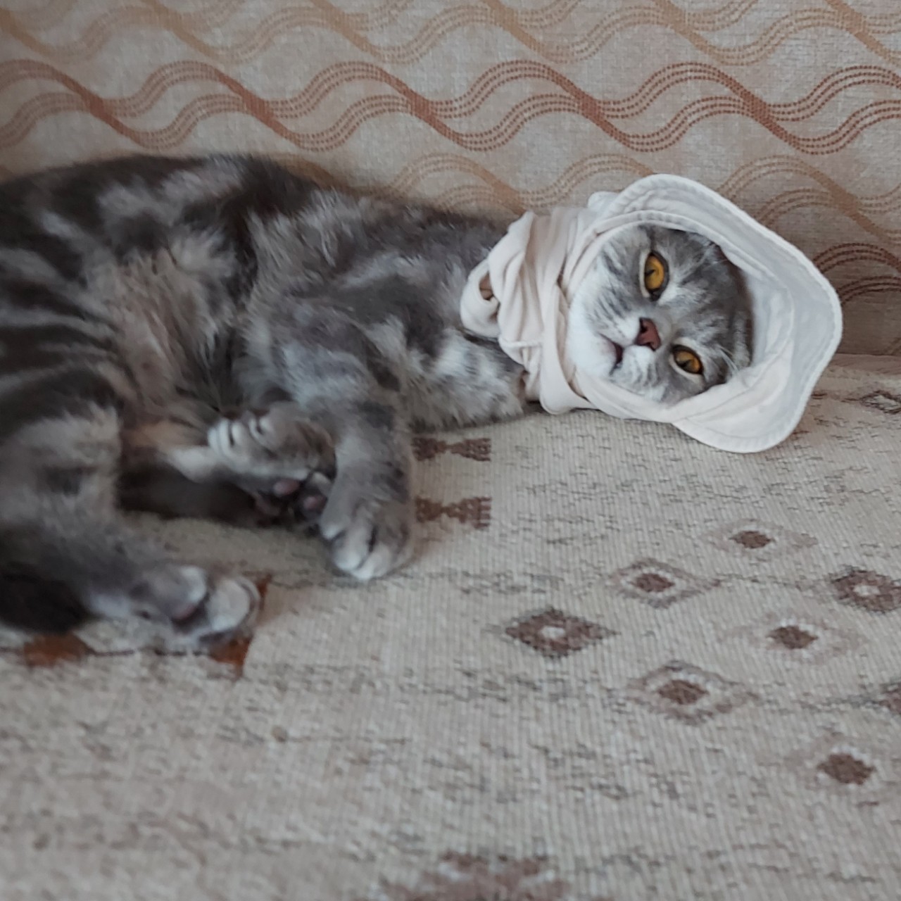 Мусиндра в LOOKY — фото 2