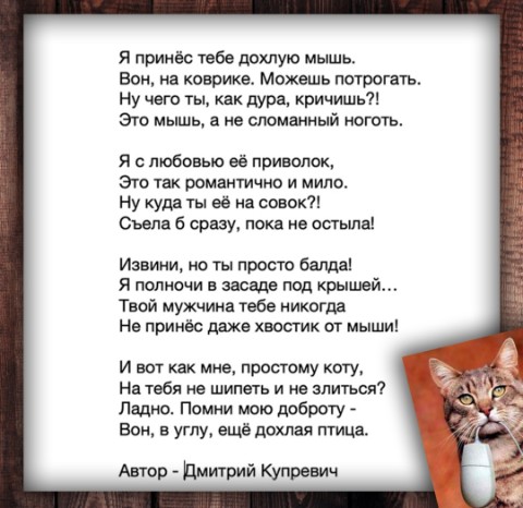 Looky_174538869908368 в LOOKY. . 😺😻😸🐭