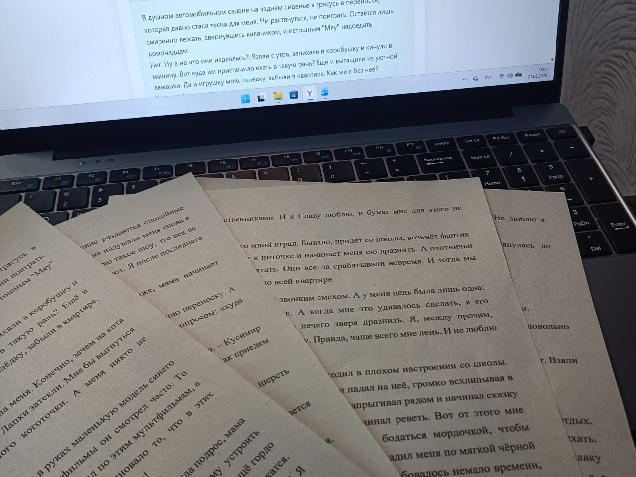 Rimmaantonova13 в LOOKY — фото 2