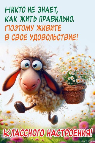 Natali55 в LOOKY. . 
