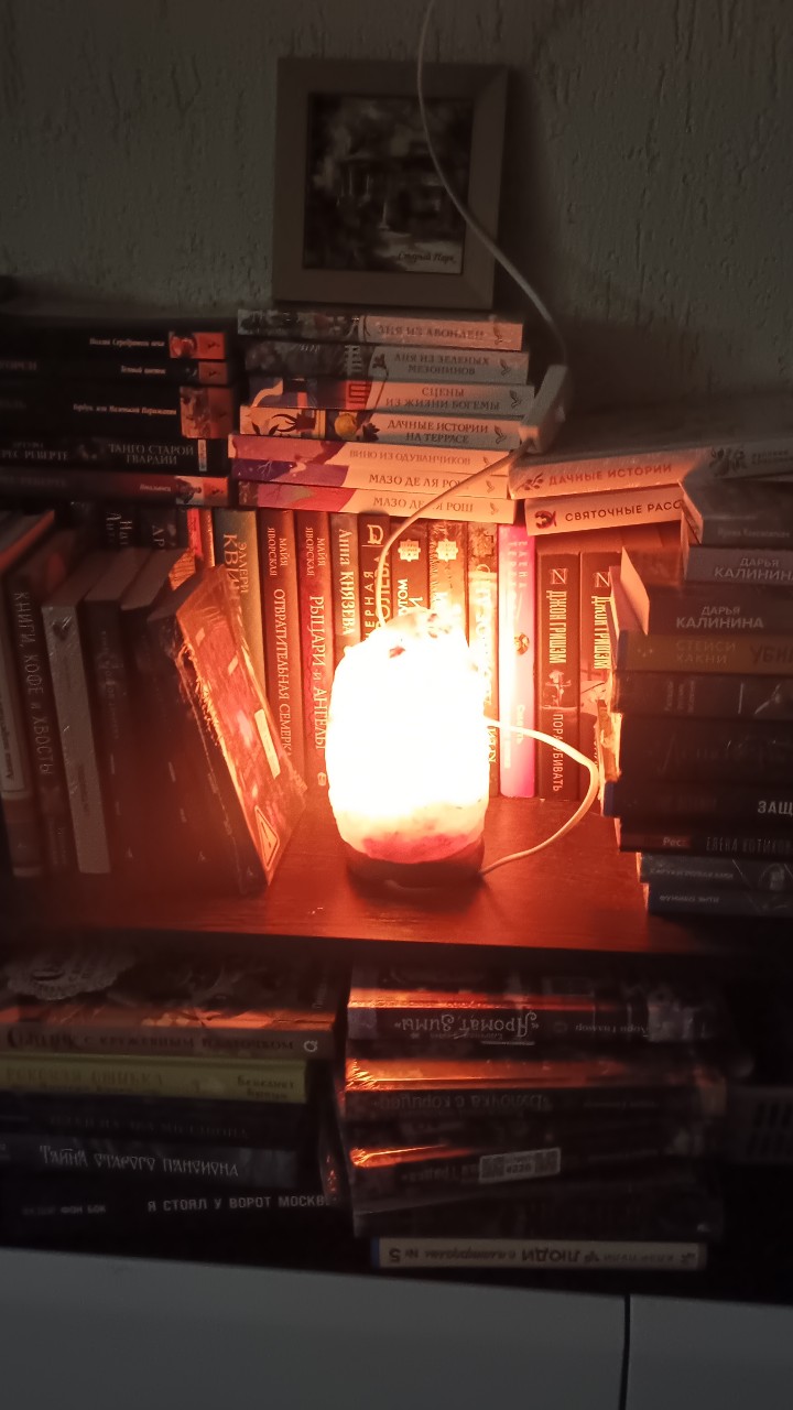 Вечерний вайб. За окном дождь. А дома уютно горит лампа среди книг 
[#осень ](осень)[#осеннийвайб ](осеннийвайб)[#вечер ](вечер)[#вечернийвайб ](вечернийвайб)[#лампа ](лампа)[#книги ](книги)[#weekend ](weekend)[#weekendvibes ](weekendvibes)[#autumn ](autumn)[#autumnvibes ](autumnvibes)[#evening ](evening)[#eveningvibes ](eveningvibes)
