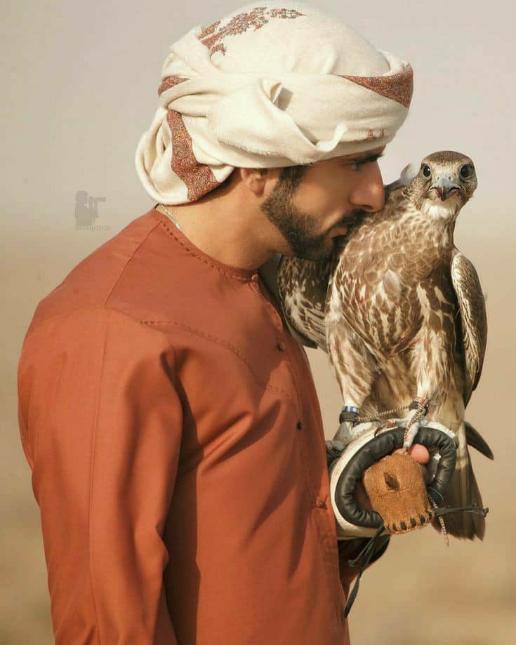 fazza3