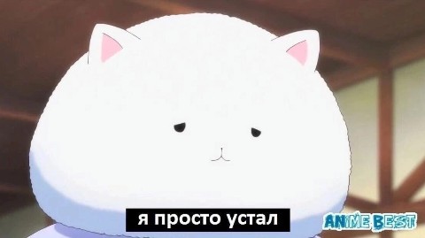 Looky_1696519345479 в LOOKY. . Каждый понедельник.....
