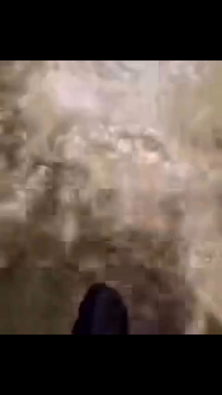 Хади Калиматова в LOOKY. . Поиски Хизира Дербич...