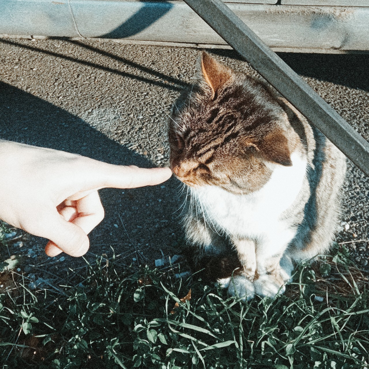 Miss_Myr в LOOKY — мур🐈‍⬛