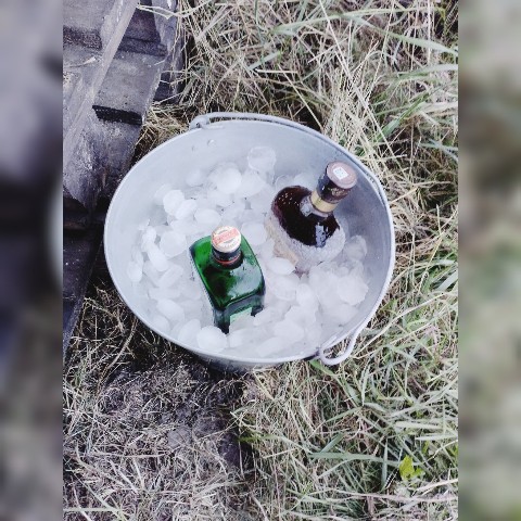 iskrennost_namerenyi в LOOKY. #alco,#2023. #alco in #2023 [#goo...