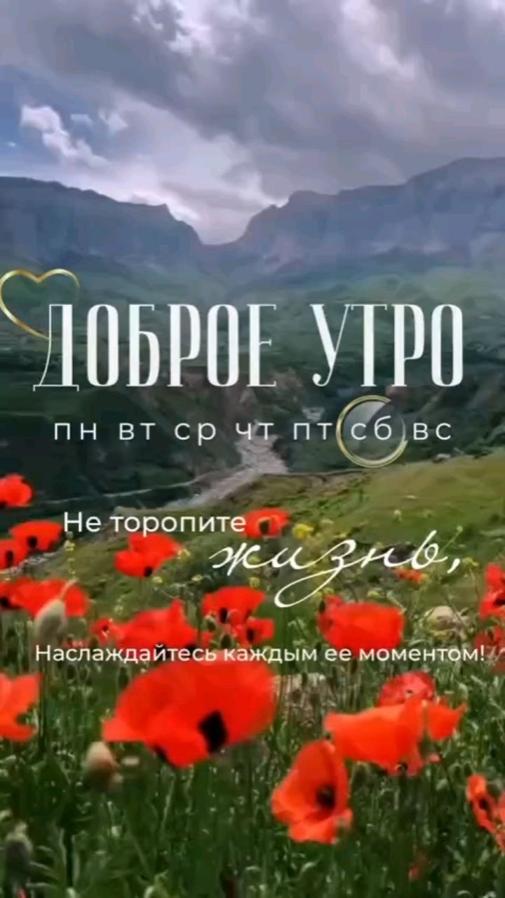 Svet_ya_ в LOOKY — ✨Доброе утро!

27 июня — новый день, который приходит без ли