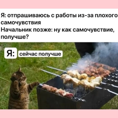 ira_shum в LOOKY. #иравместосториз,#юмор,#сарказм,#сарказмкакязватольконелечится,#деньвдв. #иравместосториз #юм...