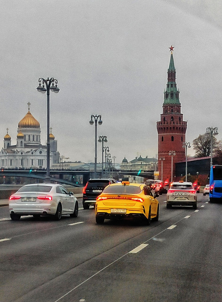 Vladova_T