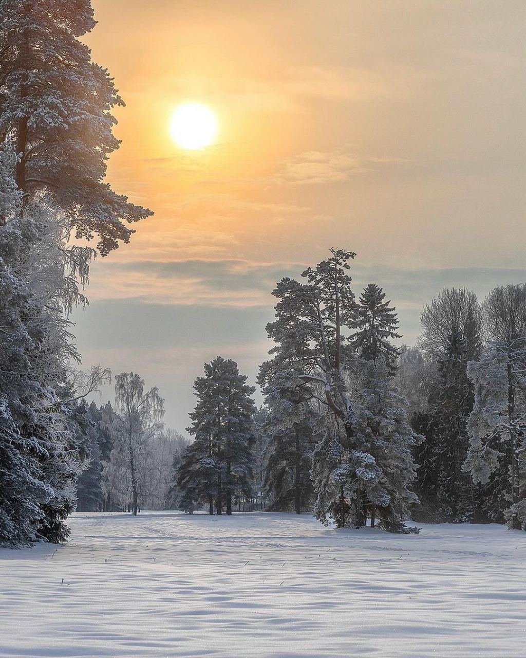 [#vibe](vibe) [#estetica](estetica) [#russia](russia) 