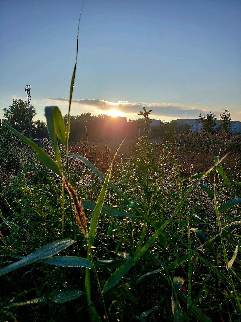 Доброе утро🌞