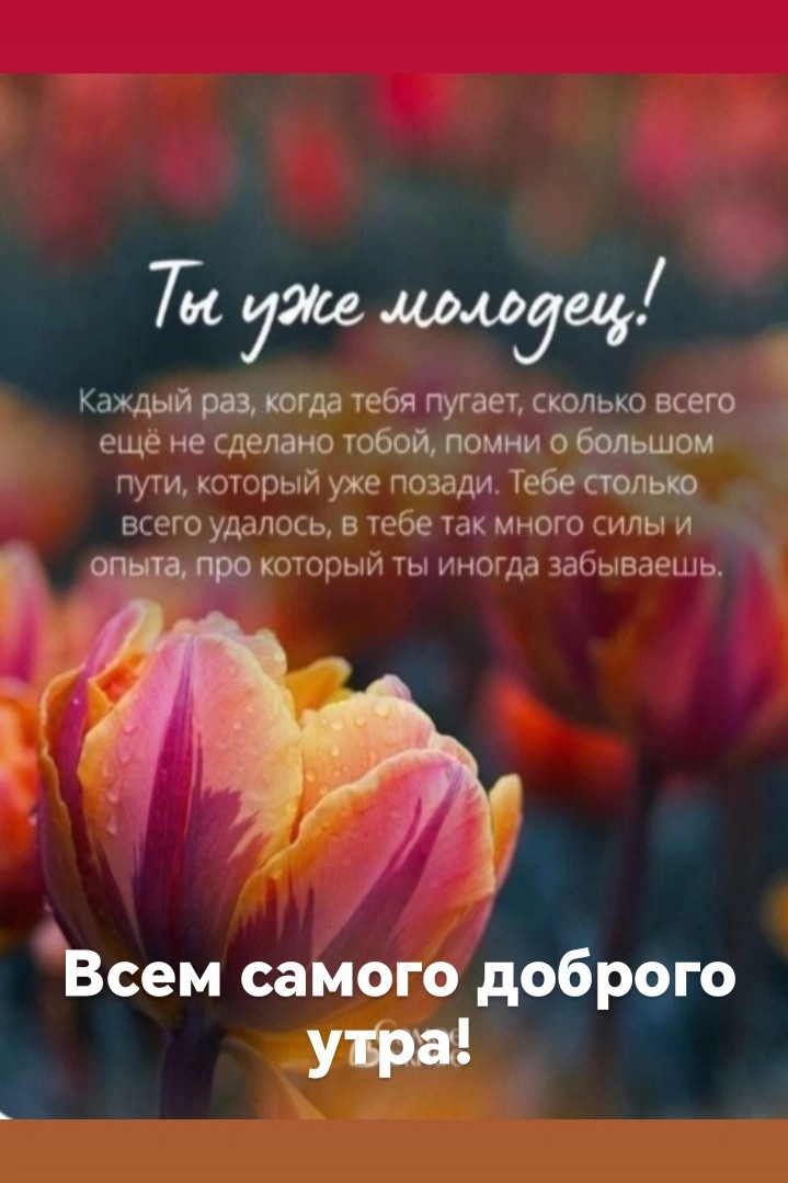 Таролог  Рена Эльф в LOOKY — публикация