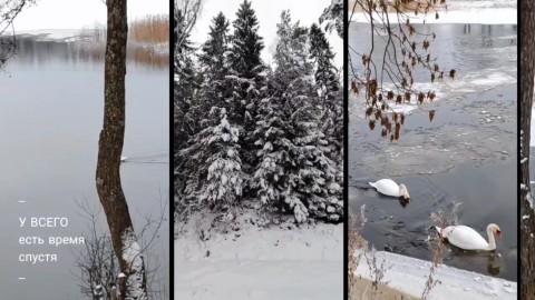 Borisovna ИЗ НИТИ В ЖИЗНЬ в LOOKY. . "У всего есть время ...