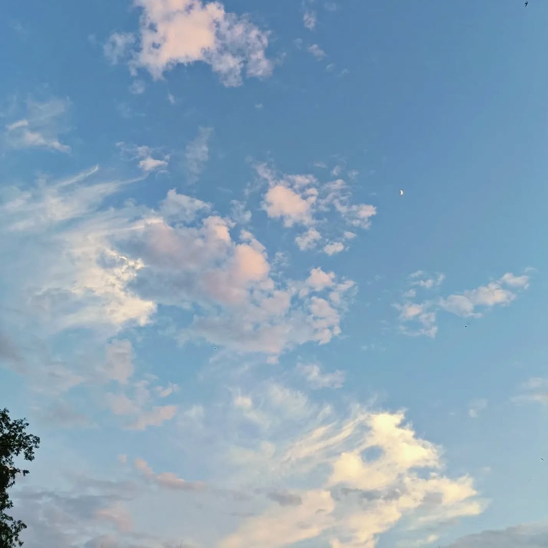 🌙✨
