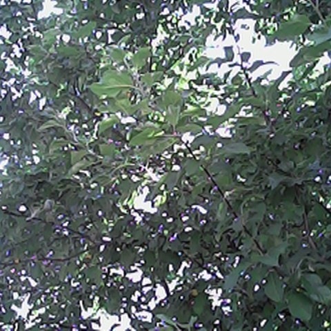 blenciar в LOOKY. #фото,#фотография,#ретро,#повседневность,#кадр,#блог,#пейзаж. 🌳

#фото #фотографи...