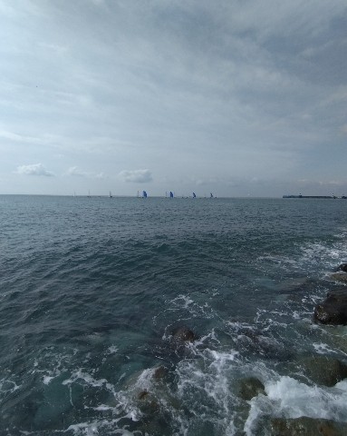 Looky_1696362245945 в LOOKY. . [#черноеморе](черное...