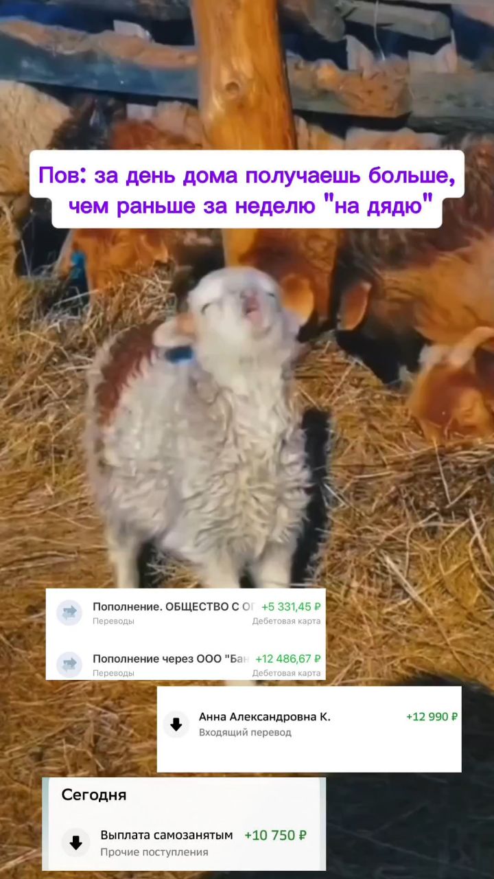 Настя_Кисс в LOOKY. . Пока одни ждут зарпл...