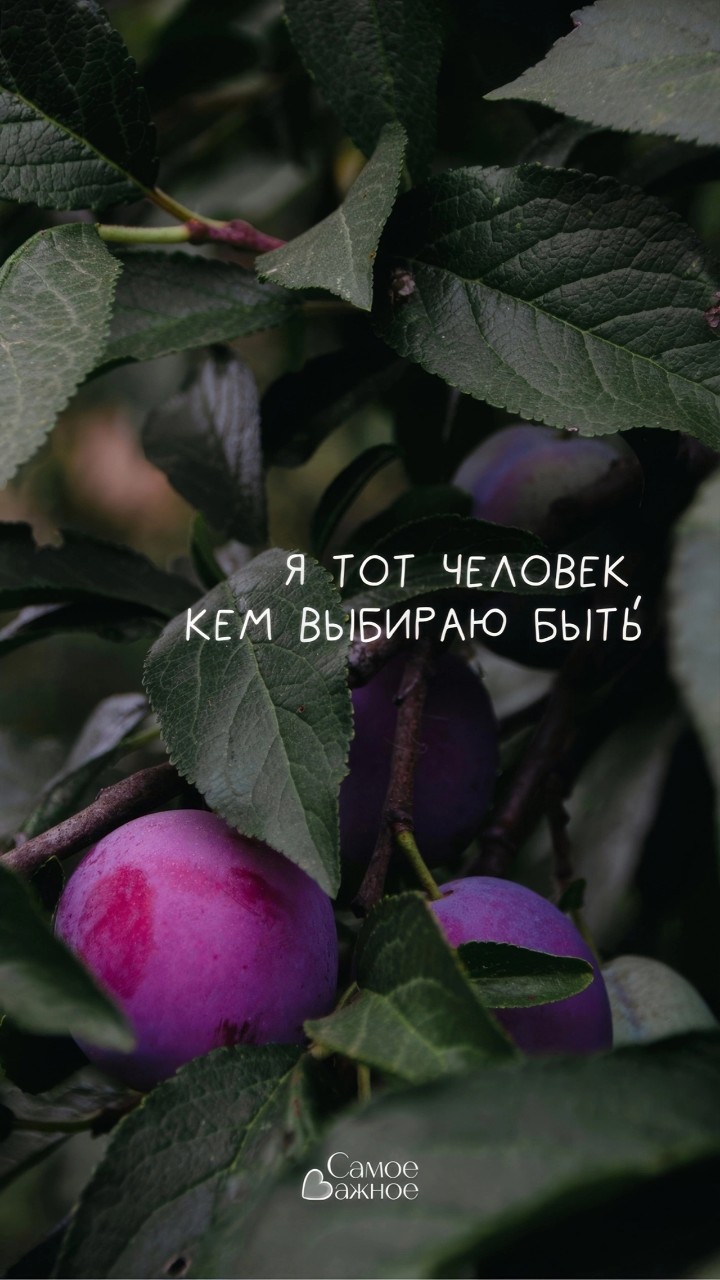 Looky_1715280822154