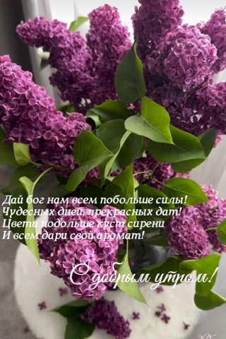 Looky_174671900592932 в LOOKY. . 💜#май#🌷