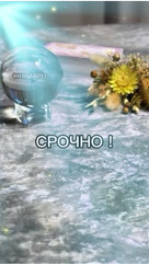 oko_taro в LOOKY. #гаданиенакартах,#гаданиеонлайн,#гаданиебесплатно,#гадание,#гаданиебесплатноонлайн,#гаданиеякутск,#гаданиетароонлайн,#гаданиетароонлайн,#гаданиенабудущее,#тароонлайнбесплатно,#тарологонлайн,#тароонлайн,#тарокаждыйдень,#тарораскладонлайн,#таропрогноз,#тарология,#тарорасклад,#таронумерология,#предсказаниеонлайн,#предсказаниебудущего,#предсказания,#предсказание,#подсказкиотвселенной,#подсказки,#подсказкадня,#подсказкиангелов. ‼️ СРОЧНО ‼️ 

#гада...