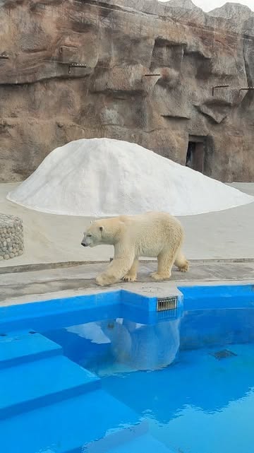 vlaost в LOOKY. . 