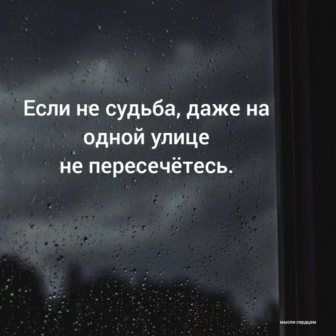 Looky_Macsen в LOOKY — #цитата [#цитатадня ](цитатадня) [#незапланированнаявстреча 