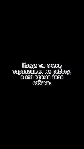 Юля Дарвин в LOOKY. #МойДарвин. [#доброеутро ](добро...