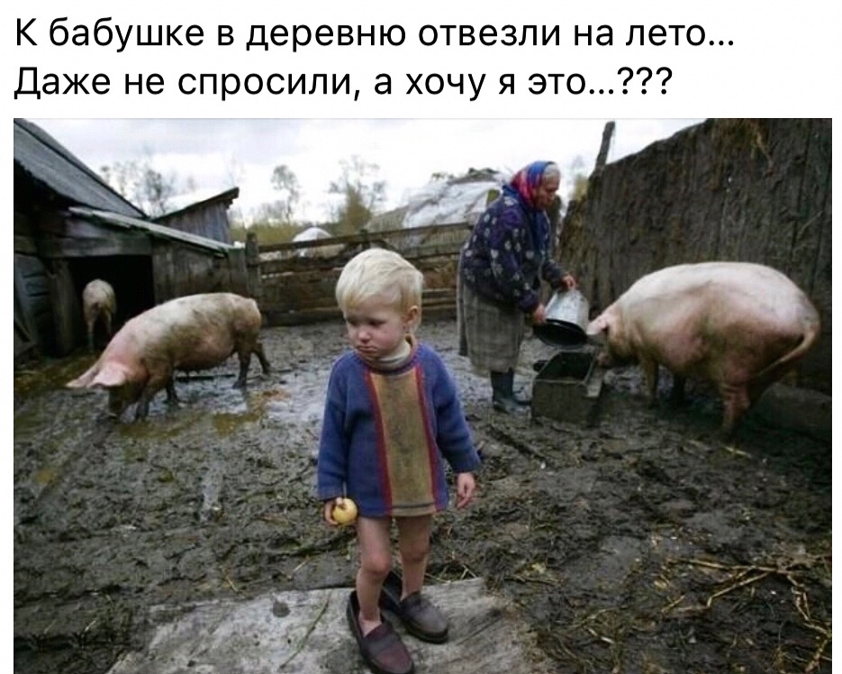 Viktory_LOOKY в LOOKY — #деревня #лето [#юмор ](юмор)