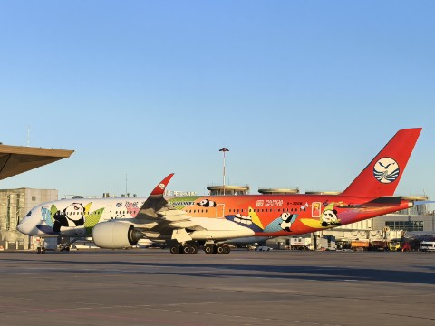 masshtab_models в LOOKY. #airbus350,#авиация,#самолёты,#авиаторы,#летчики,#Питер,#aviation,#aircraft,#sky. #airbus350 "панда" п...