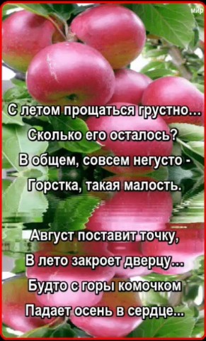 Looky_177521319440383 в LOOKY. . 