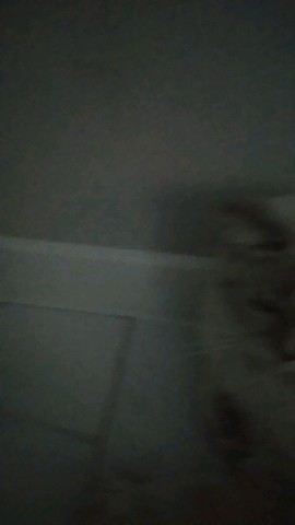 milashka in LOOKY. . Взрослый марсель