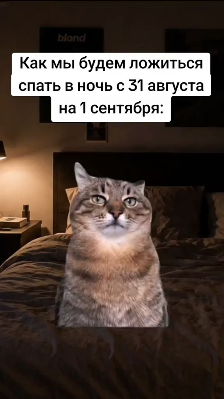 Looky_177979092175043 в LOOKY. . 