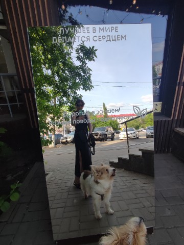 Юля Дарвин в LOOKY. #МойДарвин. 🐶:Вон, видели?Везде...