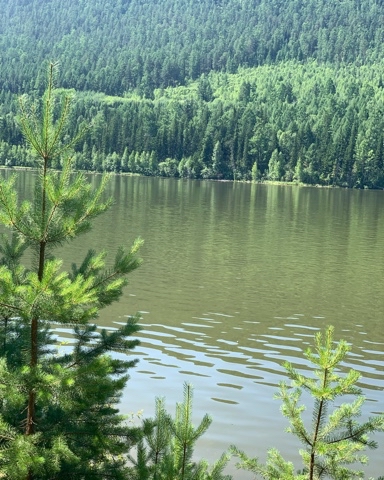 innagoncharova_ в LOOKY. . 🌻⛱️🌲