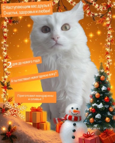 semenovaokoksana в LOOKY. #кошка,#новыйгод,#животные,#рукоделие,#зима. С наступающим вас др...