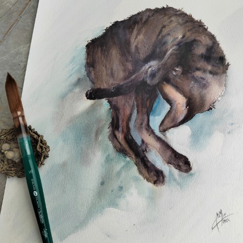 moremiron_art в LOOKY. #watercolor,#paint,#cat,#sketch,#animalistic,#акварельнаятехника,#анималистика,#Бастет,#анималистическийжанр,#котики,#скетч. Не могу не показать ...