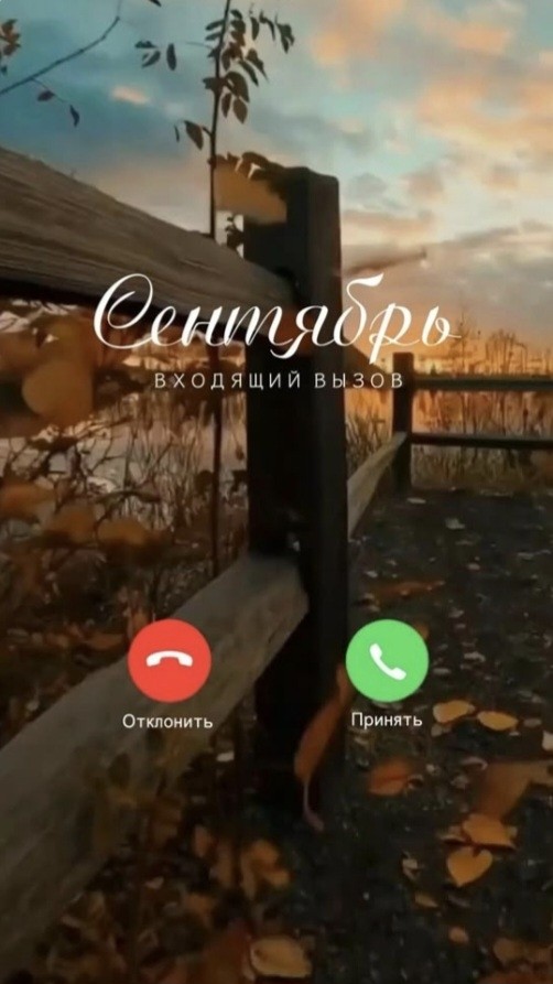Looky_177998677867925
