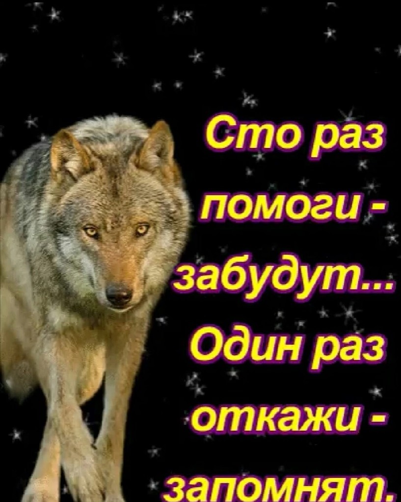 salavatatangulov