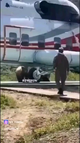 Петрович в LOOKY — публикация