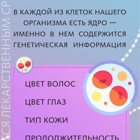 Светлана Вернигорова в LOOKY — фото 5