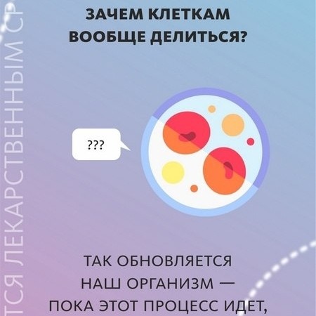 Светлана Вернигорова в LOOKY — фото 9
