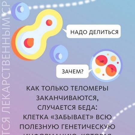 Светлана Вернигорова в LOOKY — фото 8