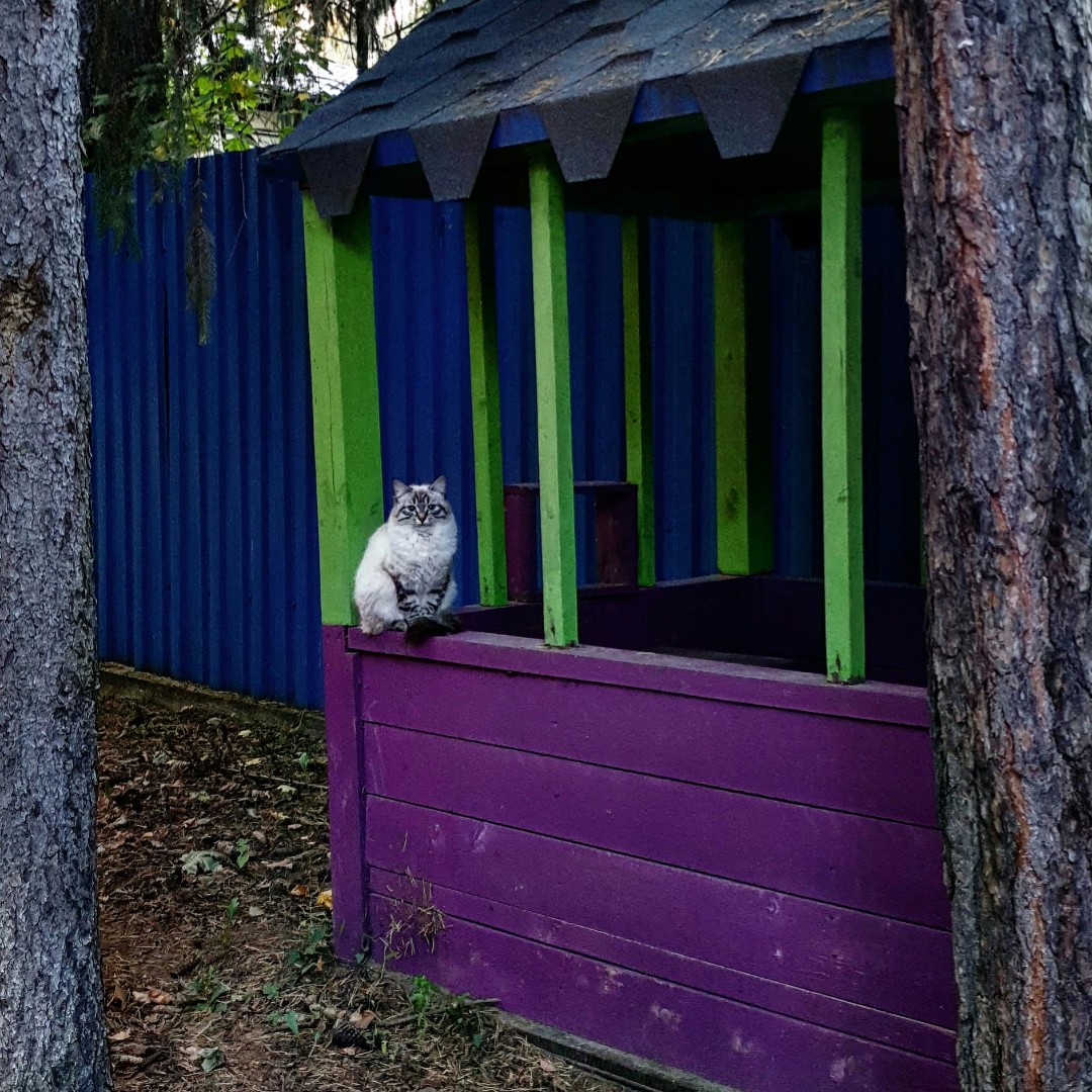 Ни о чем этот пост. Просто не пустой профиль. Присматриваюсь к этой сети, приложению, возможностям.