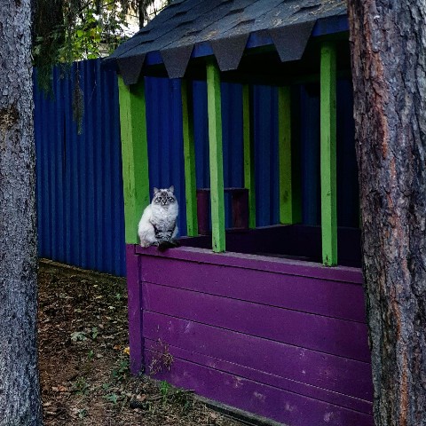 Babyka в LOOKY. . Ни о чем этот пост. ...